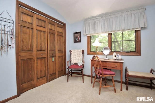 1402 W Grandridge Dr, Dunlap, IL 61525 - carpeted office space with vaulted ceiling and baseboards