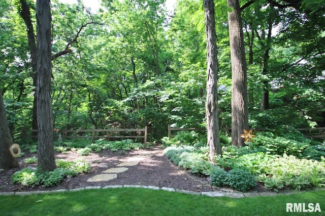 1402 W Grandridge Dr, Dunlap, IL 61525 - view of yard with a wooded view
