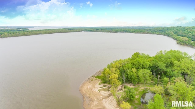 000 State Route 26th Rte, Lacon, IL 61540 - photo 1