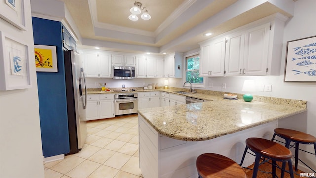 1119 W Brookforest Dr, Peoria, IL 61615 - kitchen featuring stainless steel appliances, a peninsula, white cabinets, a tray ceiling, and ornamental molding