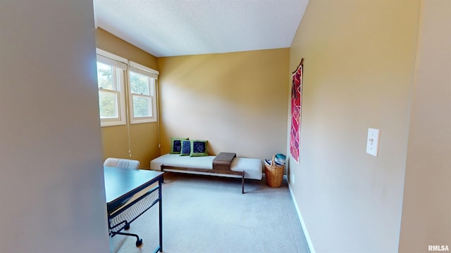 1119 W Brookforest Dr, Peoria, IL 61615 - carpeted home office with baseboards