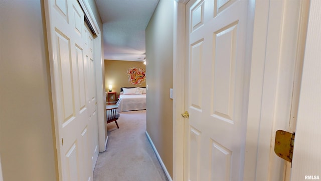 1119 W Brookforest Dr, Peoria, IL 61615 - hall featuring light colored carpet and baseboards
