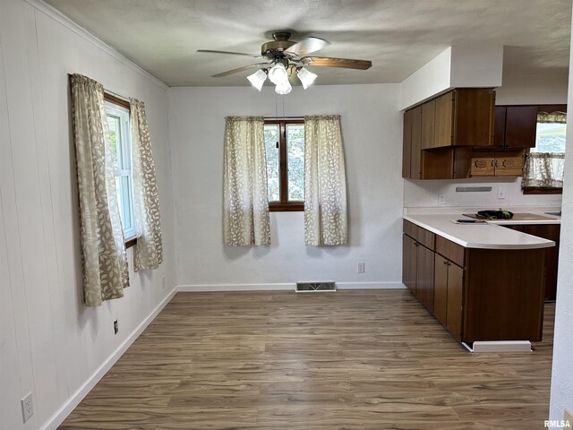 2401 Springfield Rd, East Peoria, IL 61611 - kitchen with wood finished floors, a ceiling fan, light countertops, and dark brown cabinetry