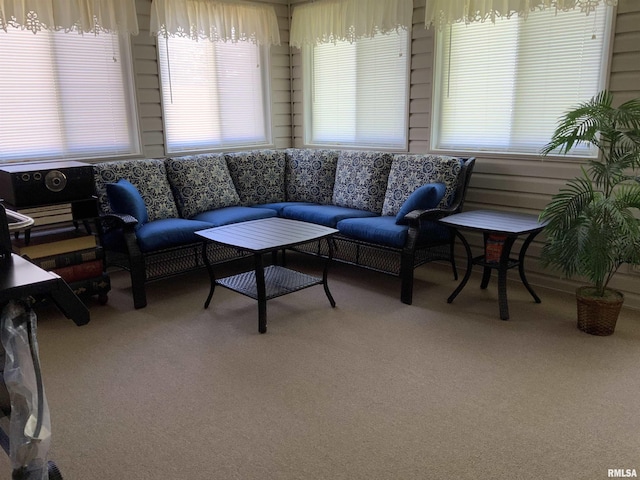 1104 S 8th St, Pekin, IL 61554 - living area with plenty of natural light and carpet