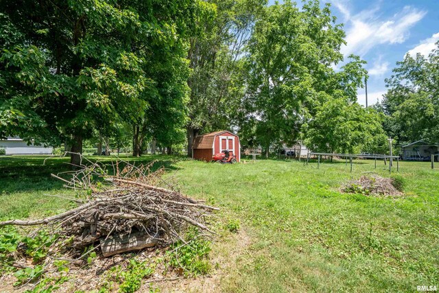 105 E 9th St, Delavan, IL 61734 - photo 29
