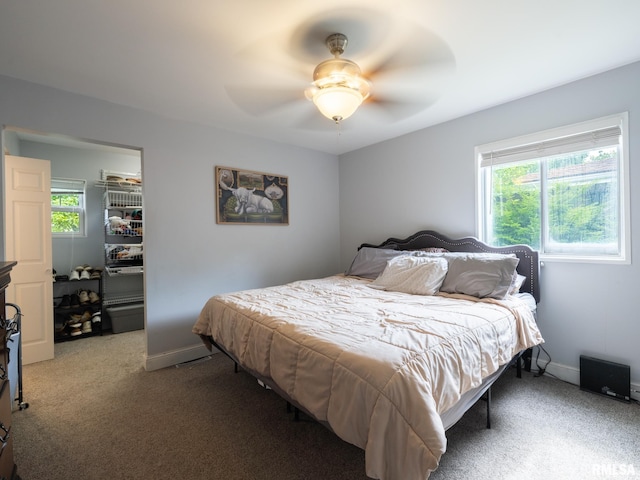 1600 W Willcox Ave, Peoria, IL 61604 - bedroom with a spacious closet, multiple windows, carpet flooring, and a closet