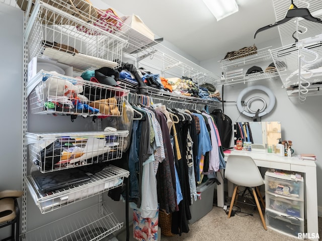 1600 W Willcox Ave, Peoria, IL 61604 - spacious closet with carpet