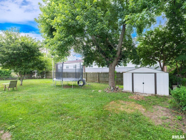 1600 W Willcox Ave, Peoria, IL 61604 - fenced backyard with a trampoline and a storage unit