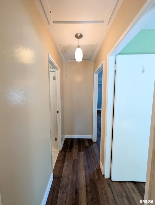 1427 Matilda St, Pekin, IL 61554 - corridor featuring attic access and wood finished floors