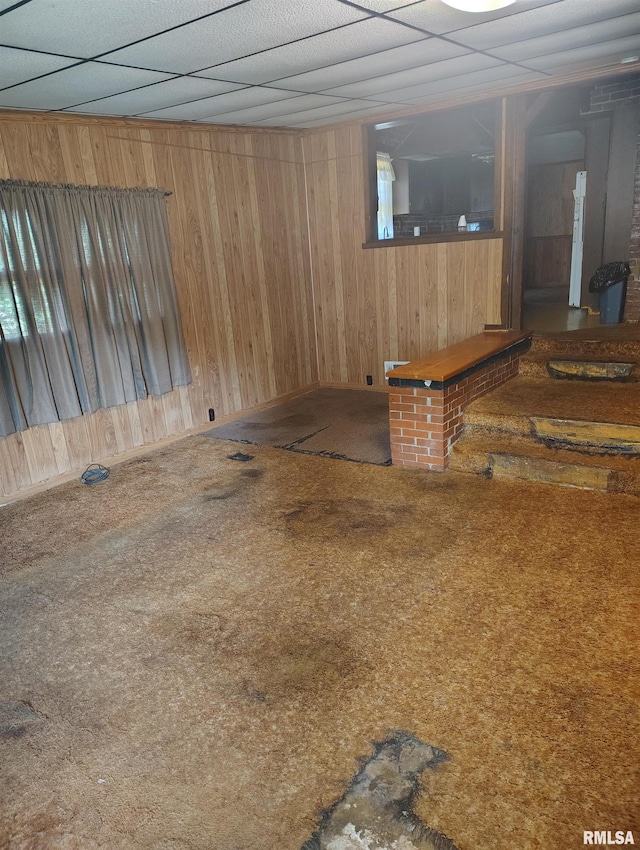1340 E Ash St, Canton, IL 61520 - below grade area with wood walls and carpet flooring