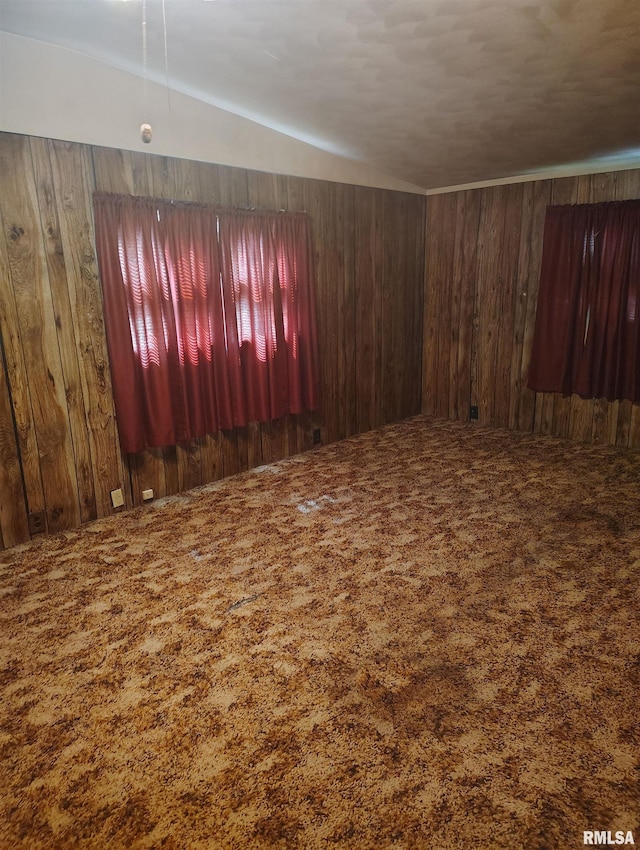 1340 E Ash St, Canton, IL 61520 - carpeted empty room featuring wooden walls
