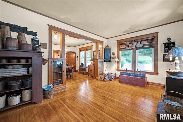 213 S Hanover St, Metamora, IL 61548 - living room featuring wood-type flooring and ornamental molding