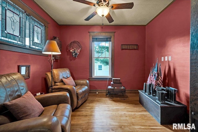 213 S Hanover St, Metamora, IL 61548 - living room with wood finished floors and ceiling fan