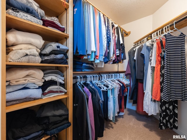 11014 N Saddlehorn Way, Dunlap, IL 61525 - walk in closet with carpet flooring