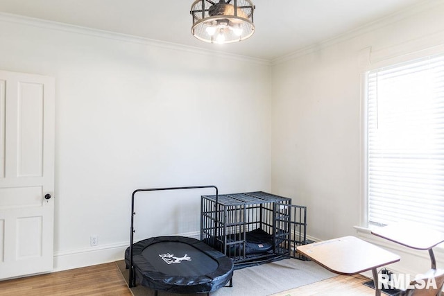 306 W Fremont St, Elmwood, IL 61529 - bedroom with wood finished floors and crown molding