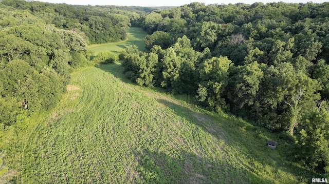 00 Smithville Rd, Trivoli, IL 61569