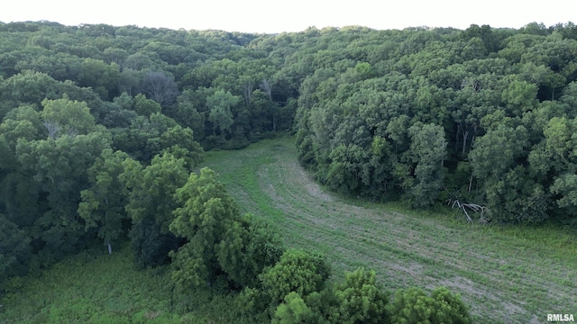 00 Smithville Rd, Trivoli, IL 61569