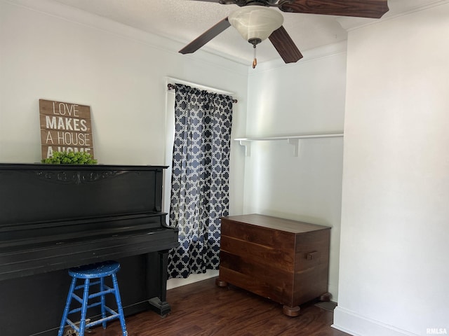 236 W Grant St, Macomb, IL 61455 - living area with dark wood-style floors and ceiling fan