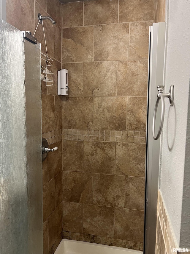 236 W Grant St, Macomb, IL 61455 - bathroom featuring tiled shower