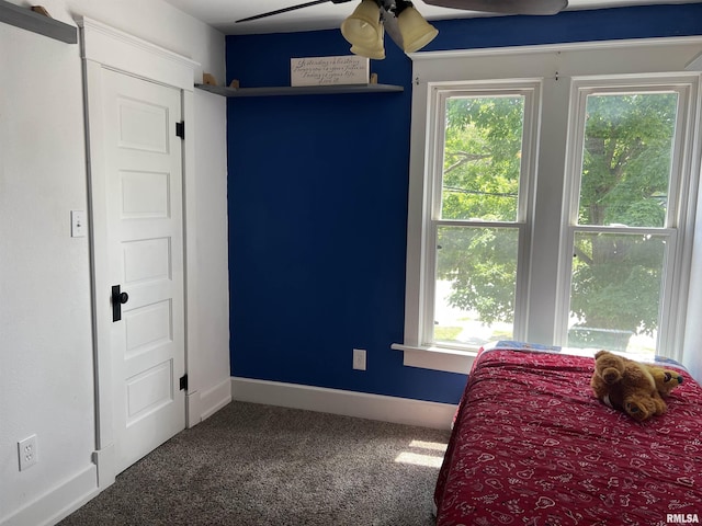 236 W Grant St, Macomb, IL 61455 - carpeted bedroom with baseboards and a ceiling fan