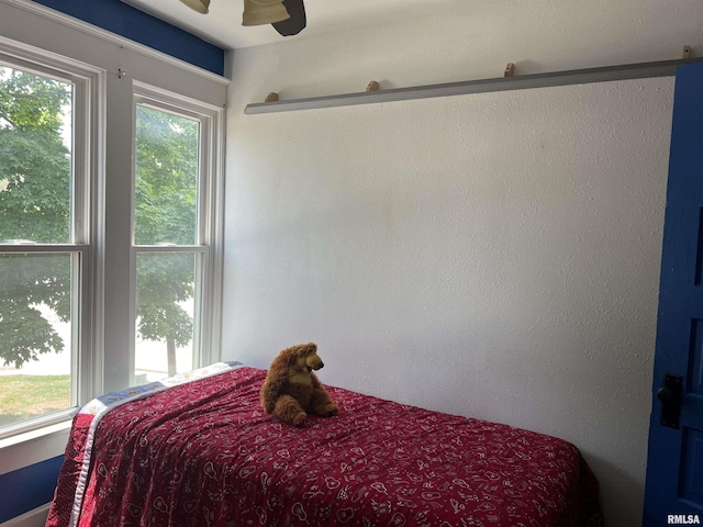 236 W Grant St, Macomb, IL 61455 - bedroom with a ceiling fan