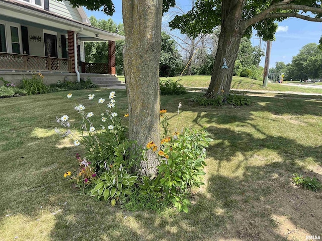 236 W Grant St, Macomb, IL 61455 - view of green lawn with a porch