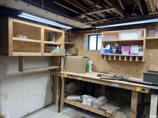 236 W Grant St, Macomb, IL 61455 - view of storage