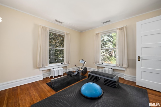 1227 W Barker Ave, Peoria, IL 61606 - workout room with radiator, wood finished floors, and ornamental molding