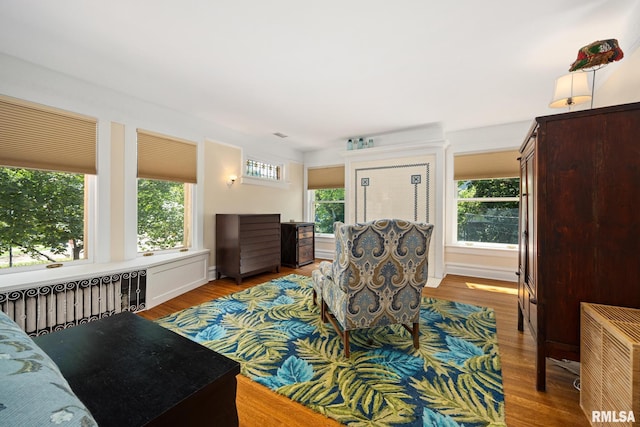 1227 W Barker Ave, Peoria, IL 61606 - living area featuring radiator and wood finished floors