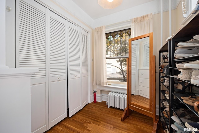 1227 W Barker Ave, Peoria, IL 61606 - wine room featuring radiator and dark wood-style flooring