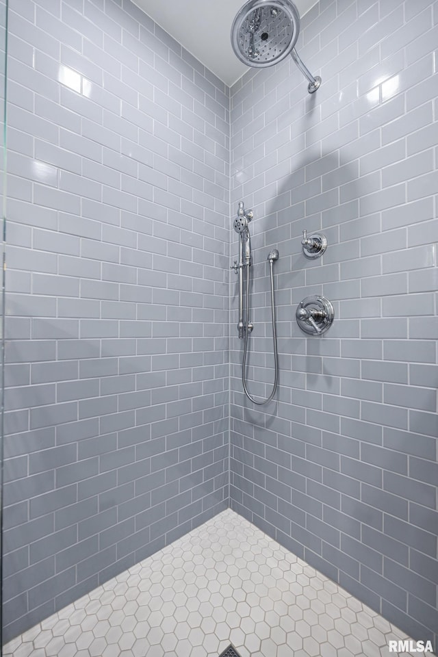 1227 W Barker Ave, Peoria, IL 61606 - bathroom with tiled shower