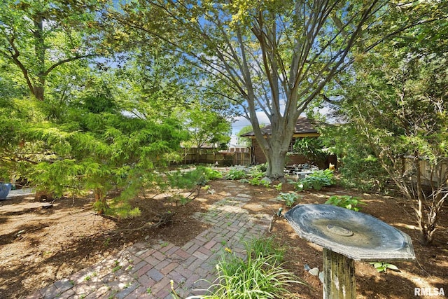 1227 W Barker Ave, Peoria, IL 61606 - view of yard