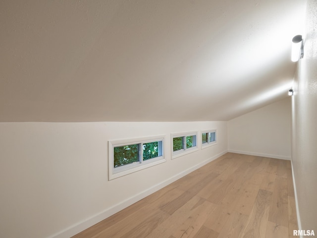 2810 Deveron Cir, Pekin, IL 61554 - bonus room with light wood-style flooring and lofted ceiling