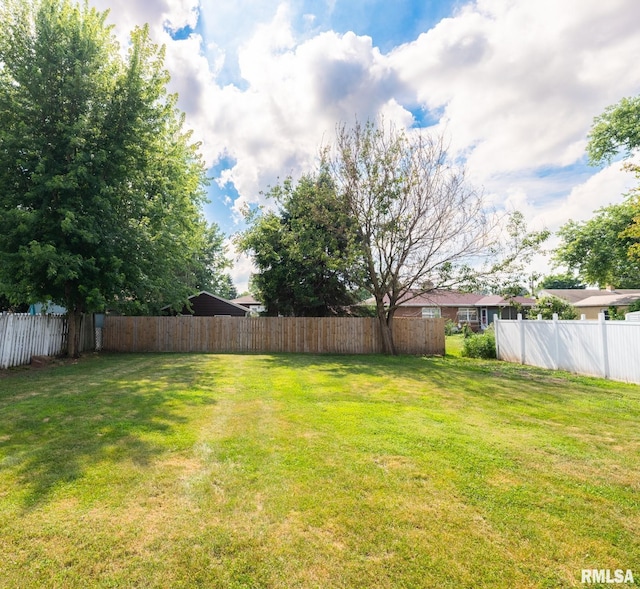 1505 N 9th St, Pekin, IL 61554 - view of yard