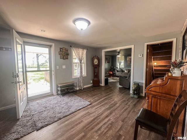 8373 State Route 93rd Rd, Toulon, IL 61483 - foyer entrance featuring dark wood-style floors and a ceiling fan