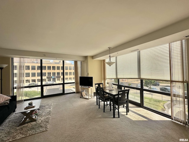 125 SW Jefferson Ave Unit W2A, Peoria, IL 61602 - view of sunroom