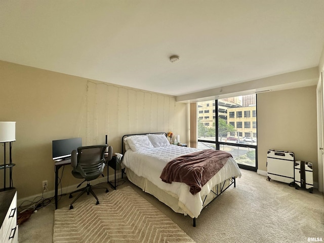 125 SW Jefferson Ave Unit W2A, Peoria, IL 61602 - bedroom featuring carpet floors