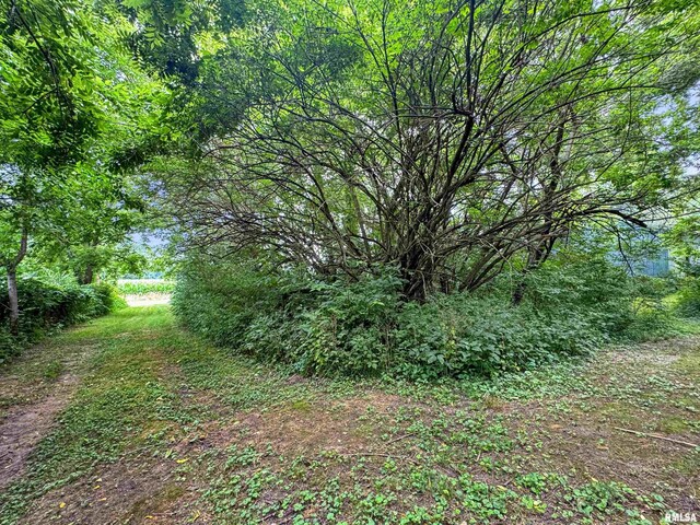 18196 River Rd, Danvers, IL 61732 - photo 50