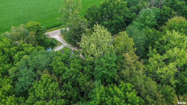 18196 River Rd, Danvers, IL 61732 - photo 53