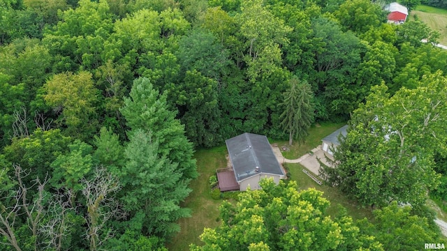 18196 River Rd, Danvers, IL 61732 - photo 54