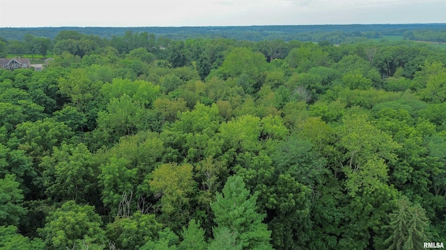 18196 River Rd, Danvers, IL 61732 - photo 55