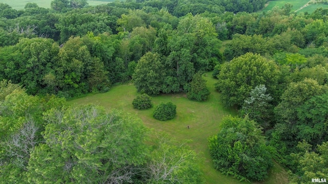 18196 River Rd, Danvers, IL 61732 - photo 63