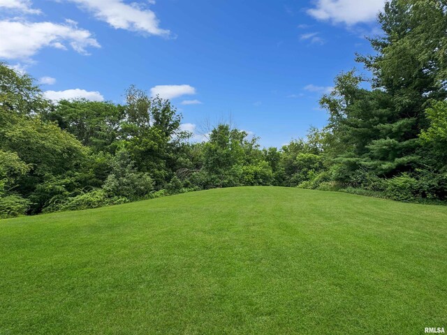 18196 River Rd, Danvers, IL 61732 - photo 66