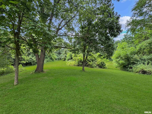18196 River Rd, Danvers, IL 61732 - photo 68