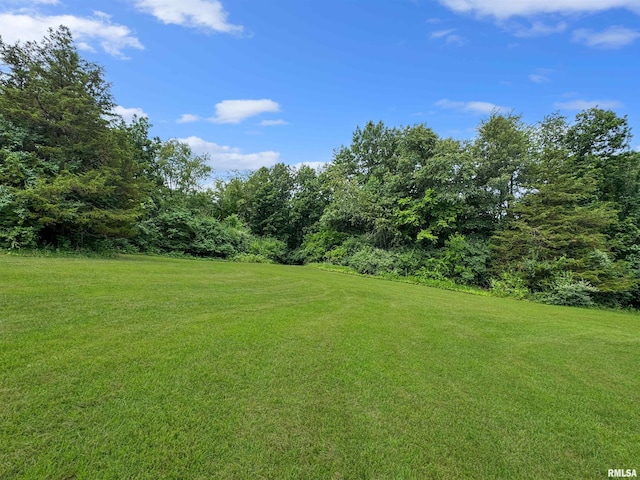 18196 River Rd, Danvers, IL 61732 - photo 69
