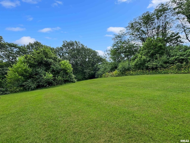 18196 River Rd, Danvers, IL 61732 - photo 70
