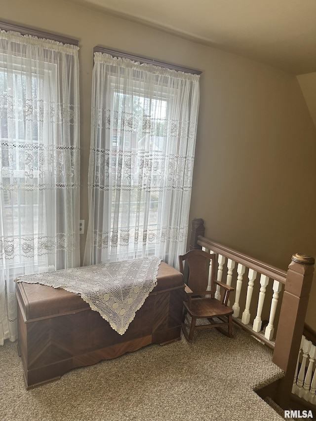 146 W Locust St, Canton, IL 61520 - bedroom with carpet floors