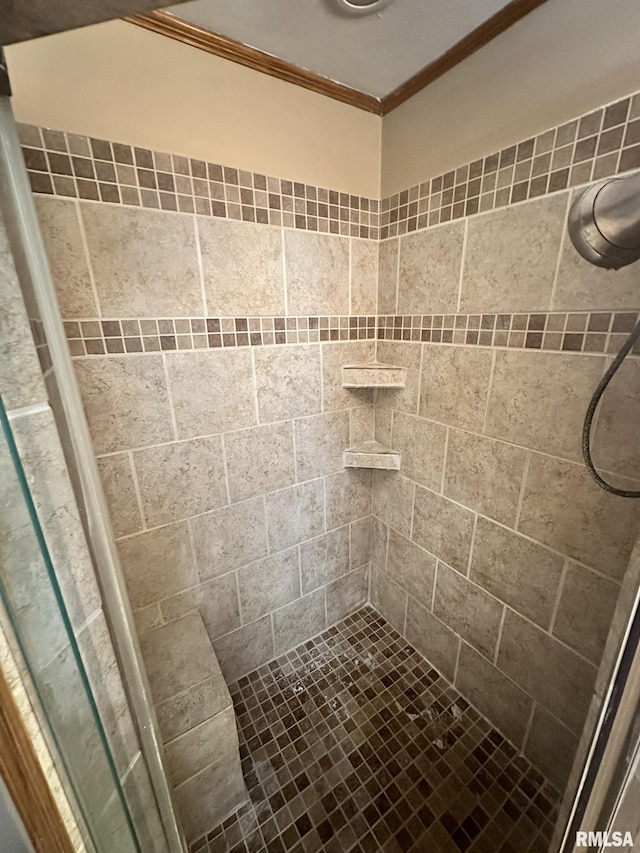 146 W Locust St, Canton, IL 61520 - bathroom with ornamental molding and a shower stall