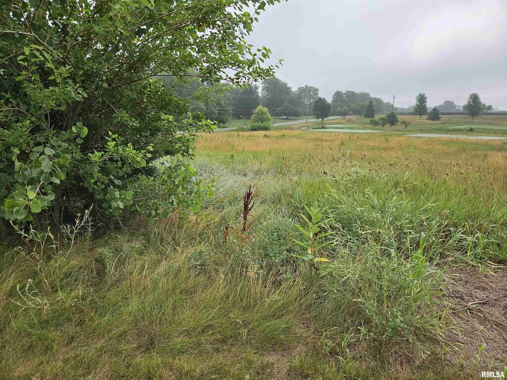 908 Brinkman Way, Metamora, IL 61548