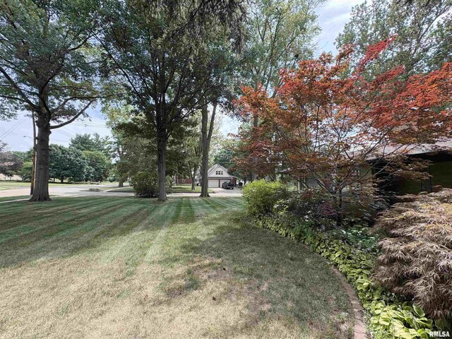 205 N Ida St, Lacon, IL 61540 - photo 3